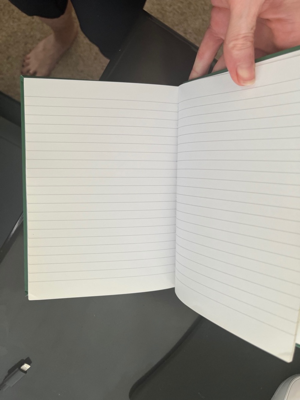 Green Sloth Notebook - Picture 2 of 3